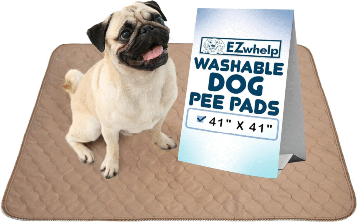 Washable Dog Pee Pad: Reusable, Waterproof, & Absorbent