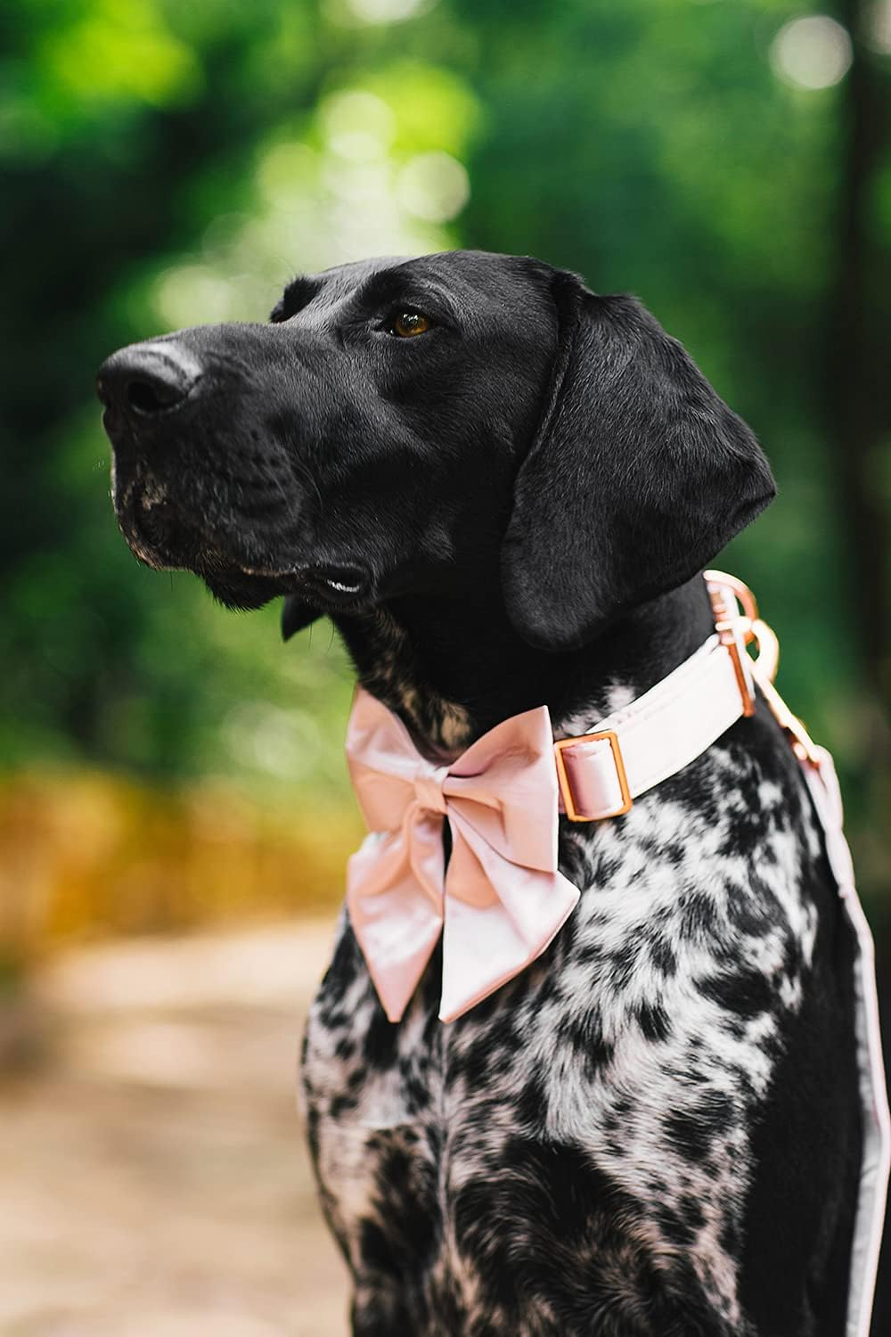 2944056c6e73b873d0f1e31a66c306fc