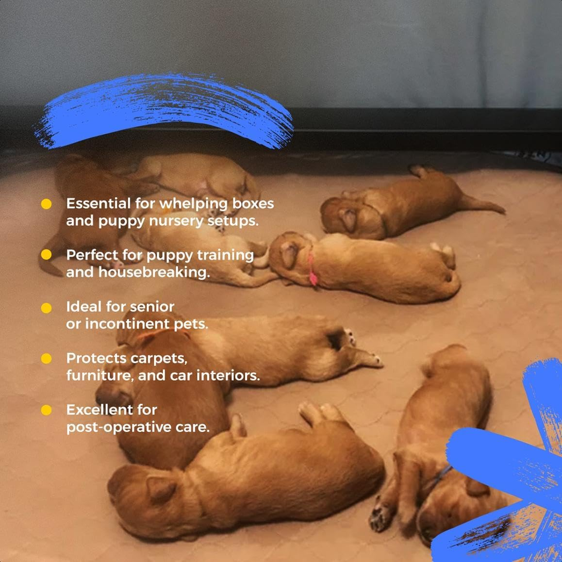 2e563340d41278fadc5fd54fa60d68ff