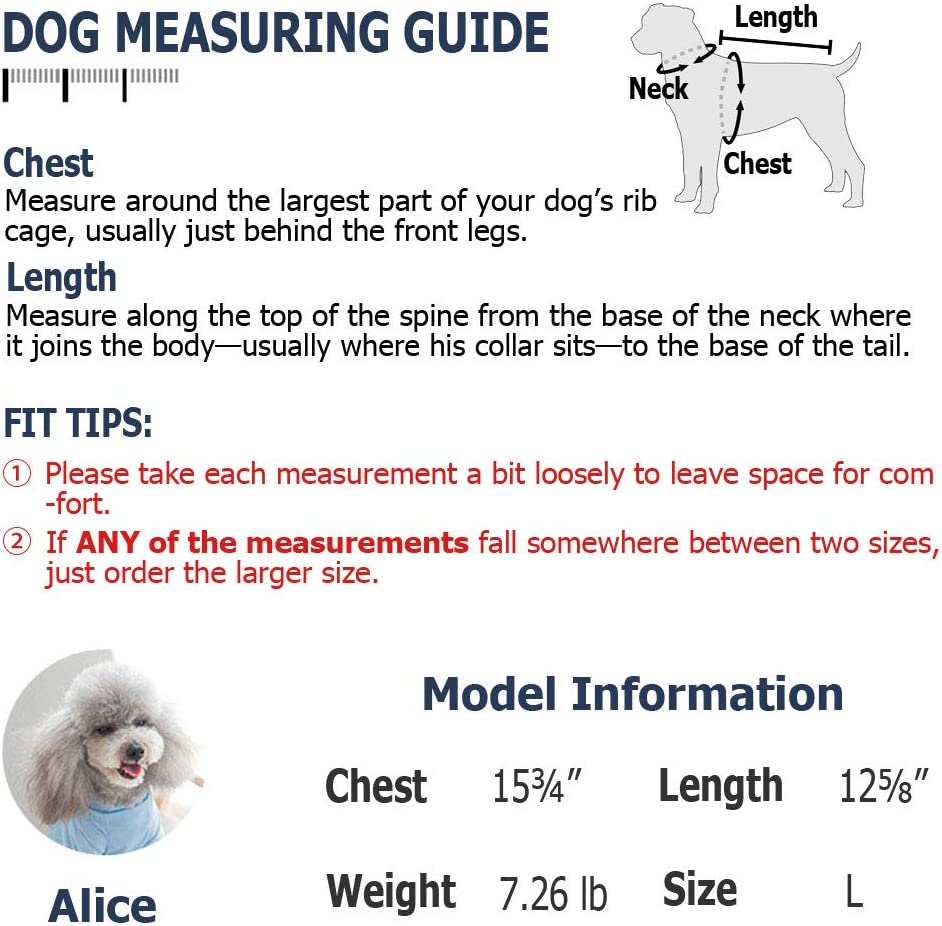 2f39031ddbd136df12b55092e690b85d