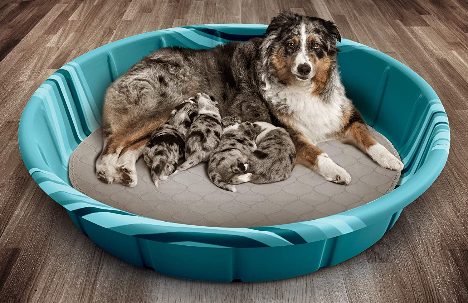 3930c0a0b243e4c950a29abf2c8e3abb 4