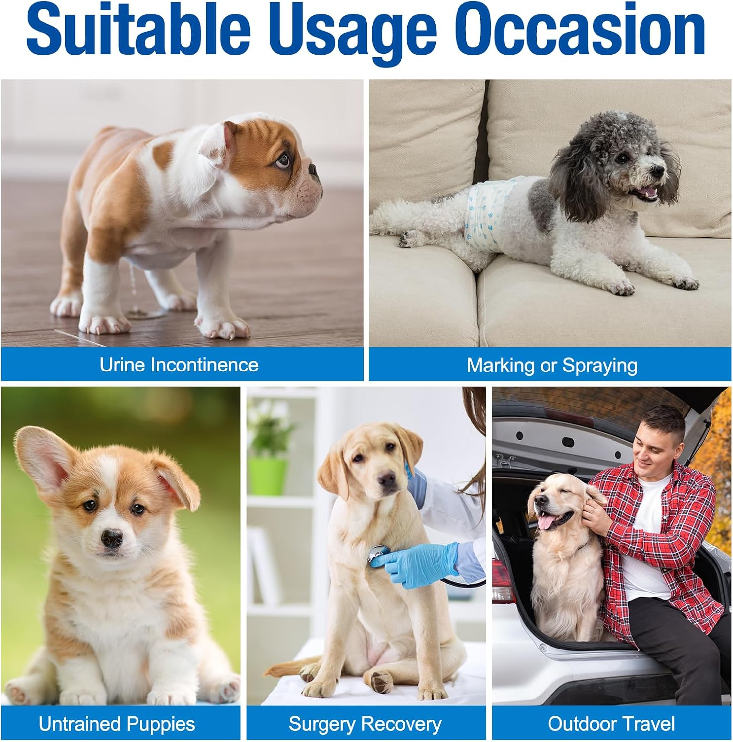 62983f680c2063e6a69629e0713a9d93