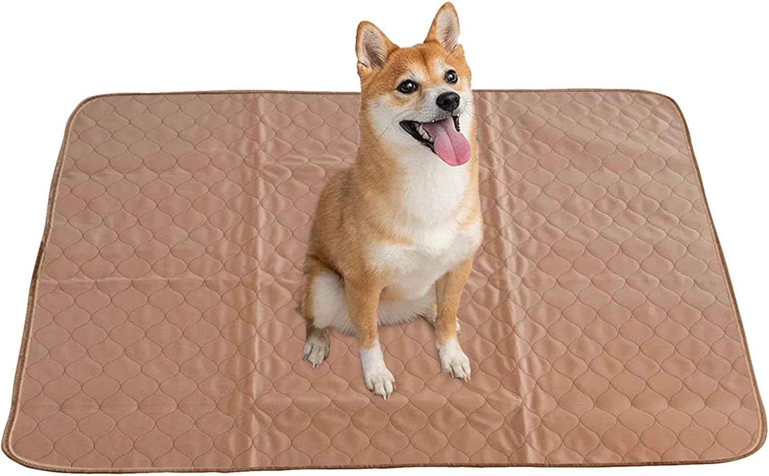 66ecc35fc9abe2dc2d472d29cf16e4a7