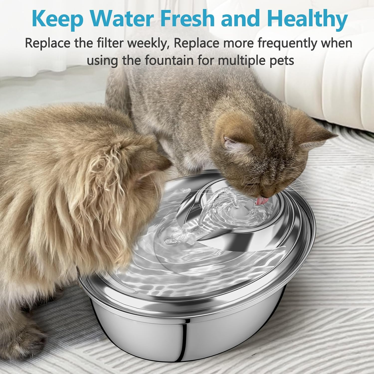 6fad9a44fcab4e4be7dc91b8b1f70474