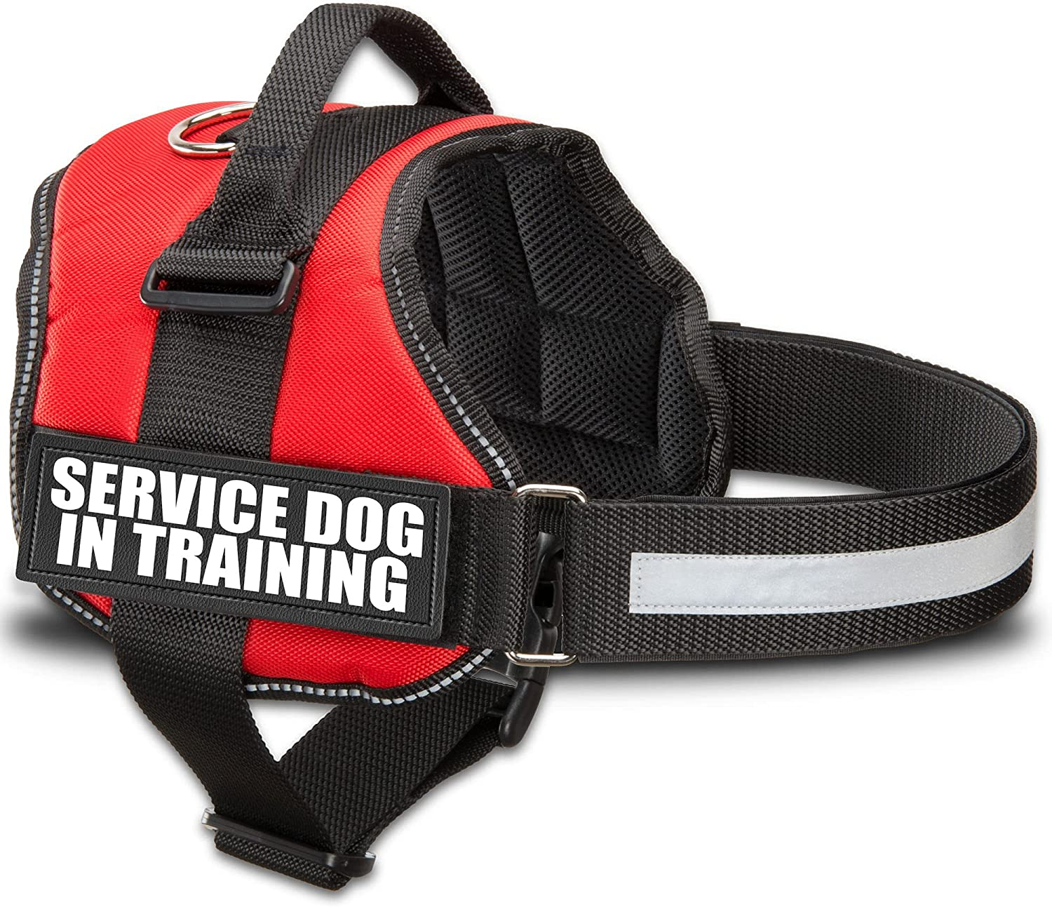 Service Dog In Training Vest: Reflective, Safe, & Durable