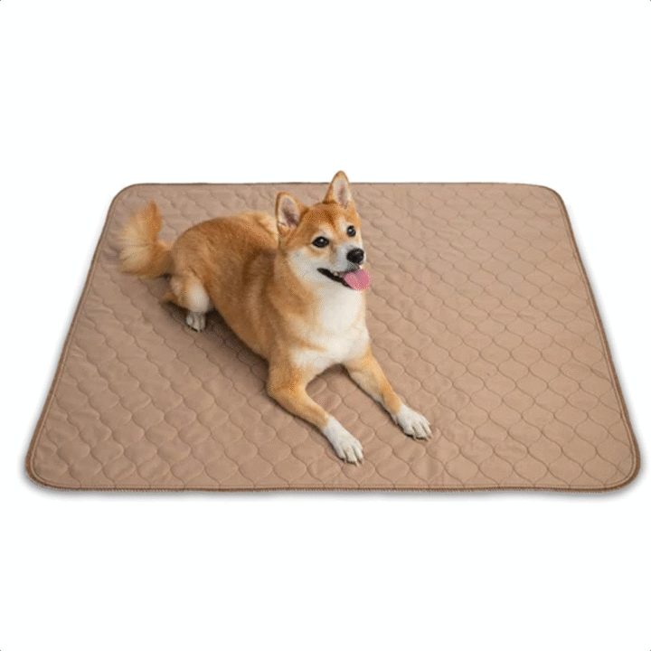 Reusable Dog Pee Pads - Waterproof Training Pads for Dogs - Washable & Sanitary - Rounded Corners - Laminated, Lightweight, Durable - Pet Essentials for Puppy Training and Whelping - 41" X 41"