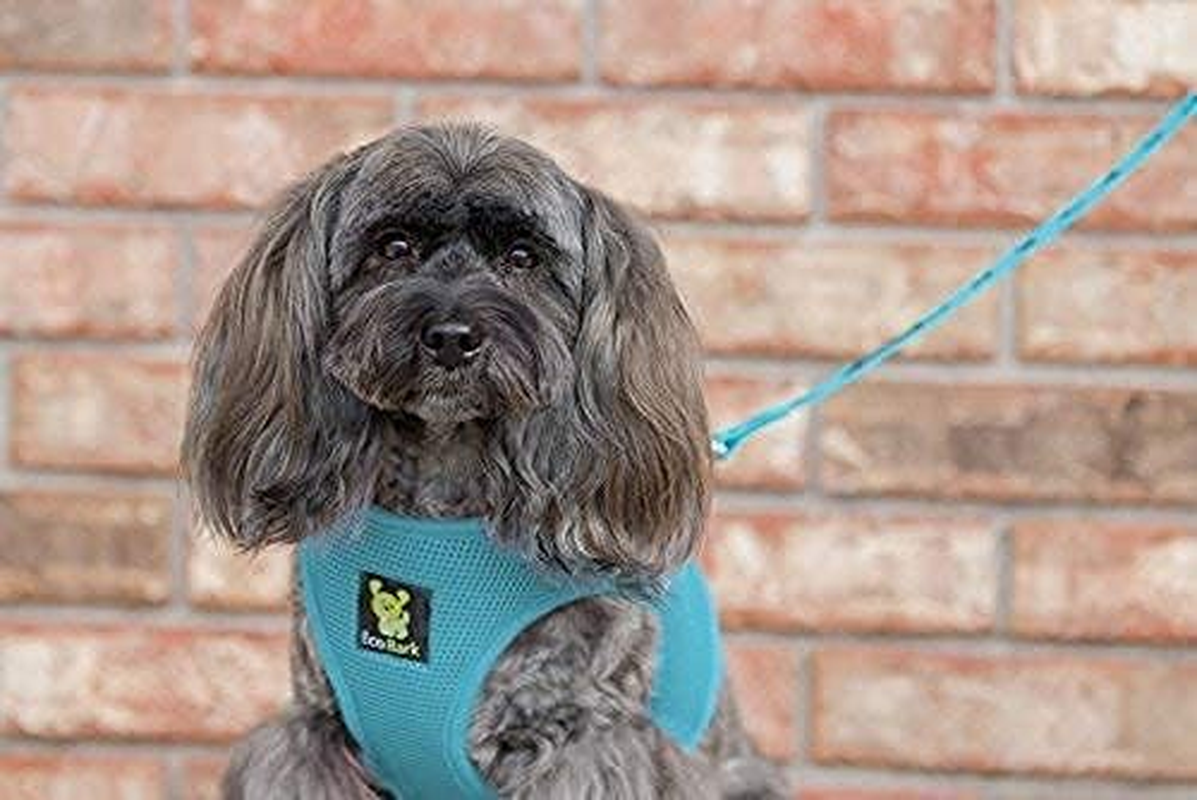 8b24760e8c5d615c648d58013e4fd5ea