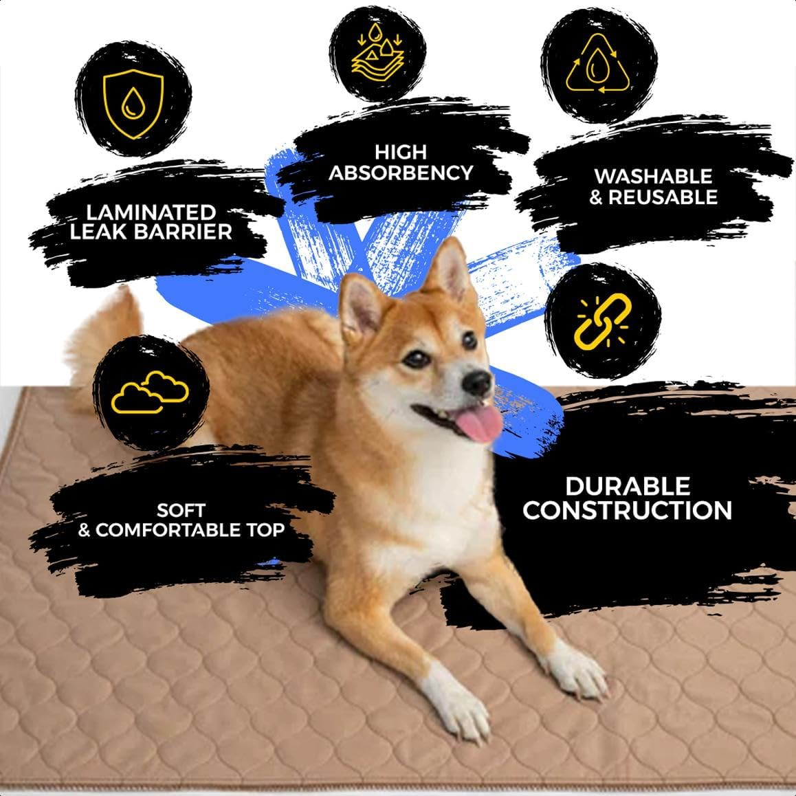 923e13df3a30cc5349f846c2a97a7a37