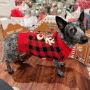 Christmas Dog Sweater: Soft, Warm Holiday Pet Clothes 4 a2a6ae0331cd9845a94492c129916de4 1