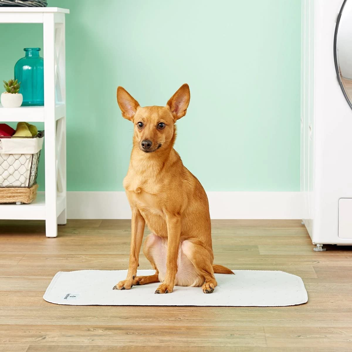 b9e41977ec7106f4cf4ad901cc4a23a0 2