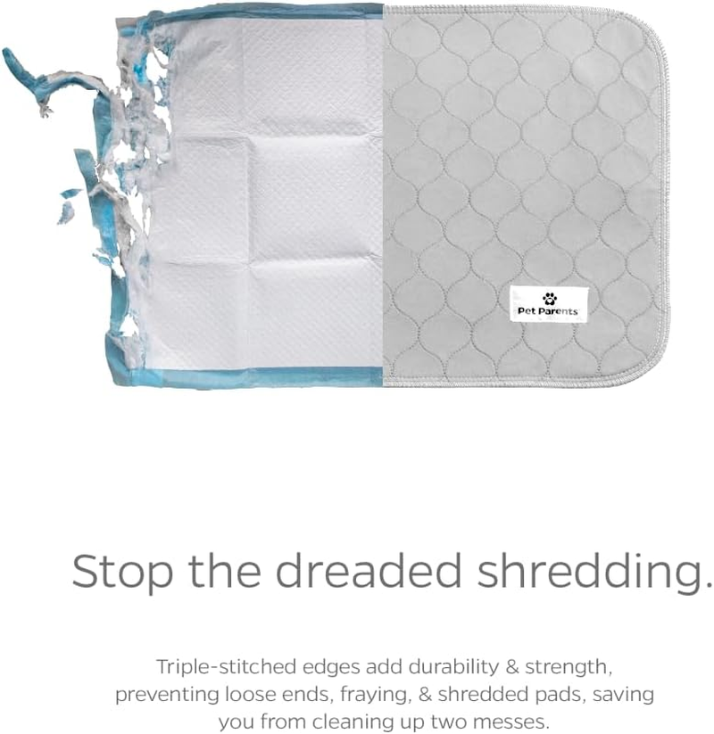 bdb9b01eca649689f9669e749a721918 1