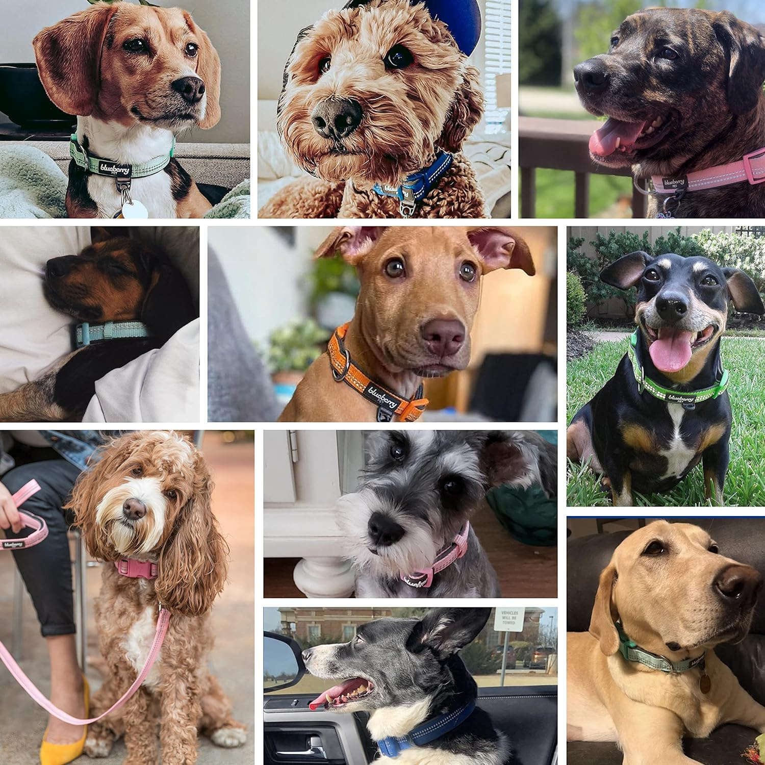 be6469cd4aa9292492e3aae39fa938ea 1