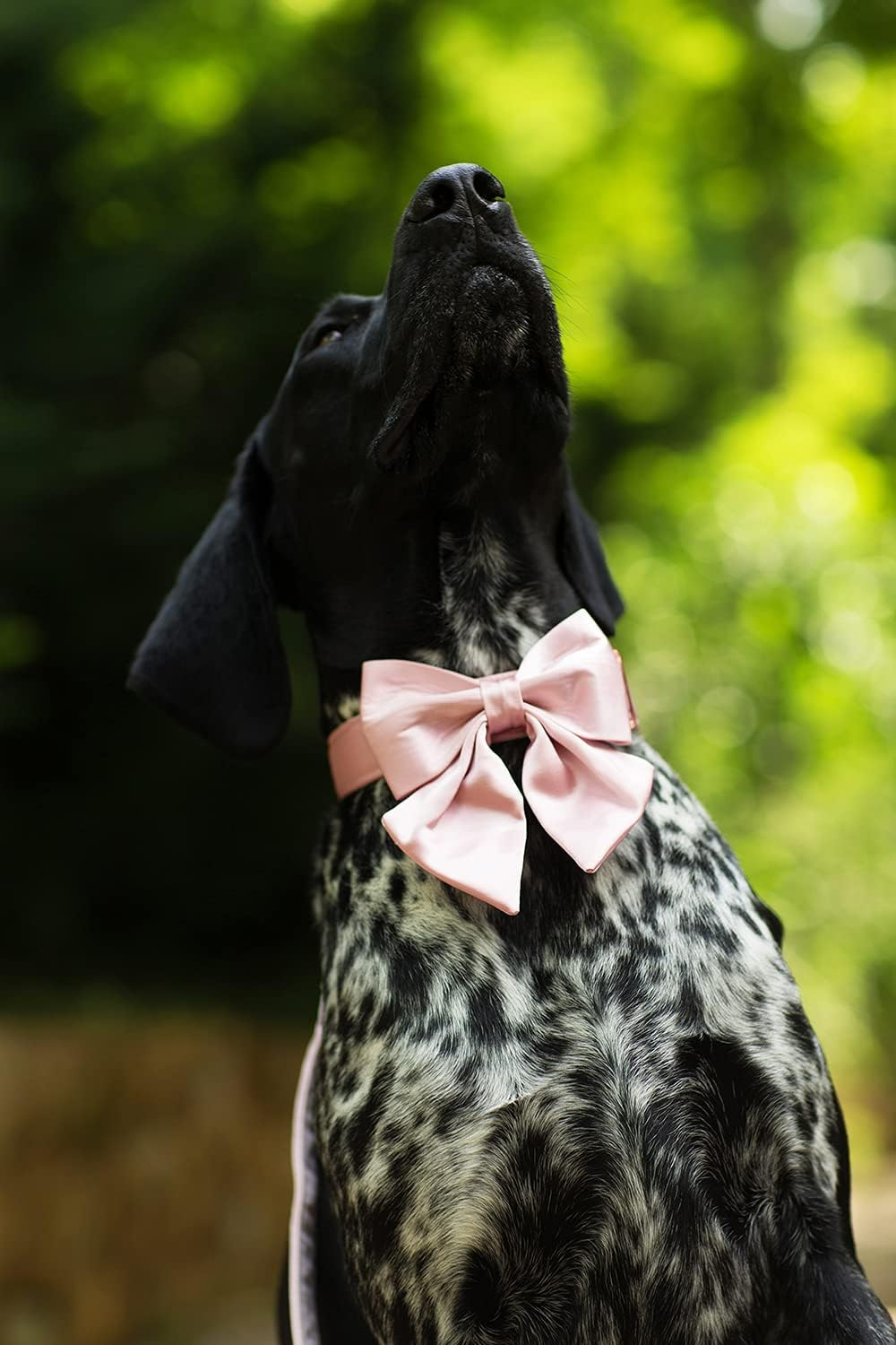 c0e021bac5927df9d1b6a3948a4b5053