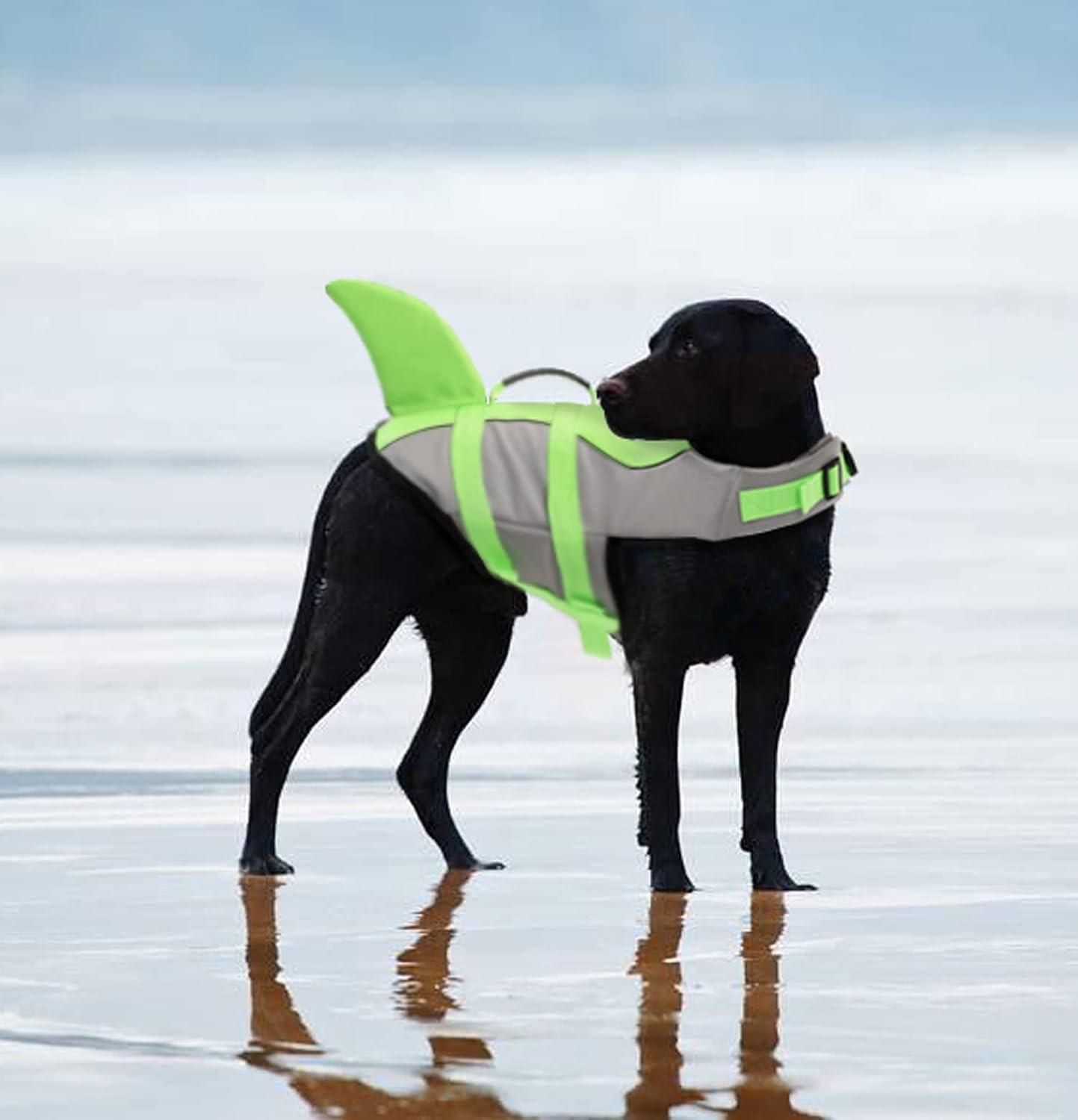 c91a9a1c349e8382af356539ca937440