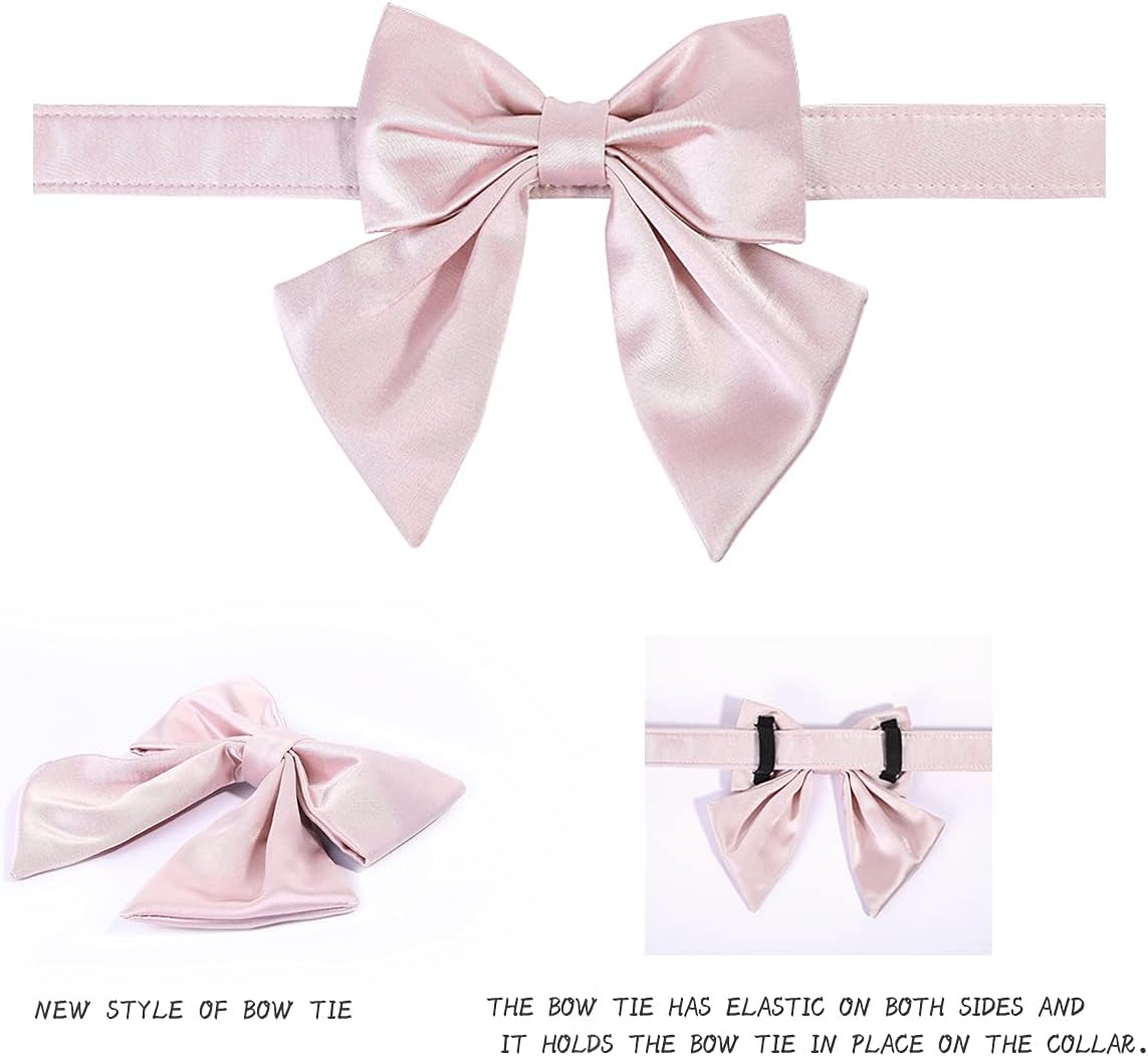 ccd7b1993317331d631b909bdda4e519