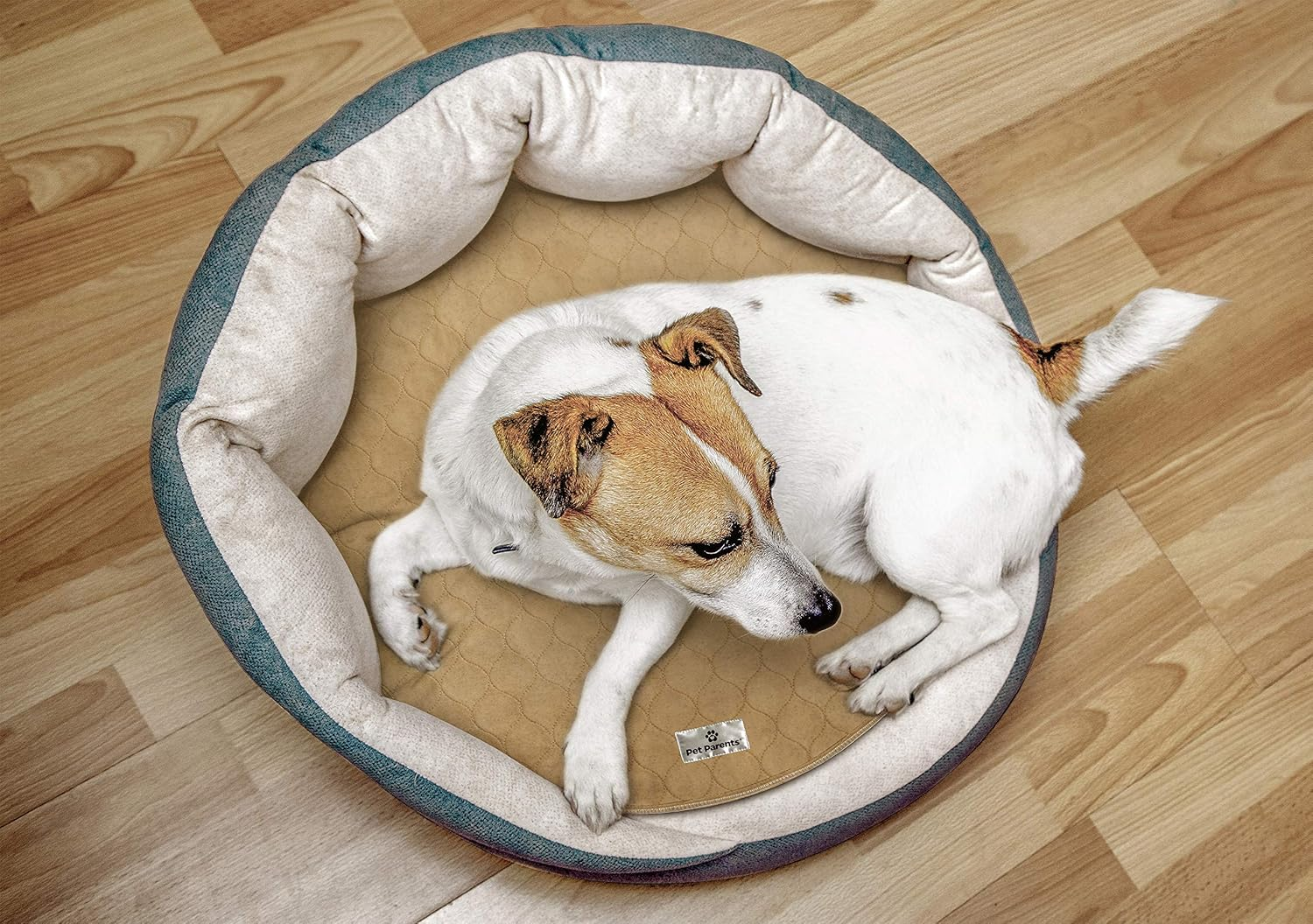 d4b3e20a136c2c85194c9266874d3a4f 1