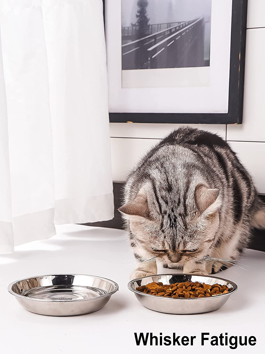 ecfdac631668021d31cd52bee26f8c90