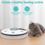 Auto Pet Feeder: Timer Control, Healthy Portions Now! 4 1bf5a7a401afc446d005432a26a65530 1