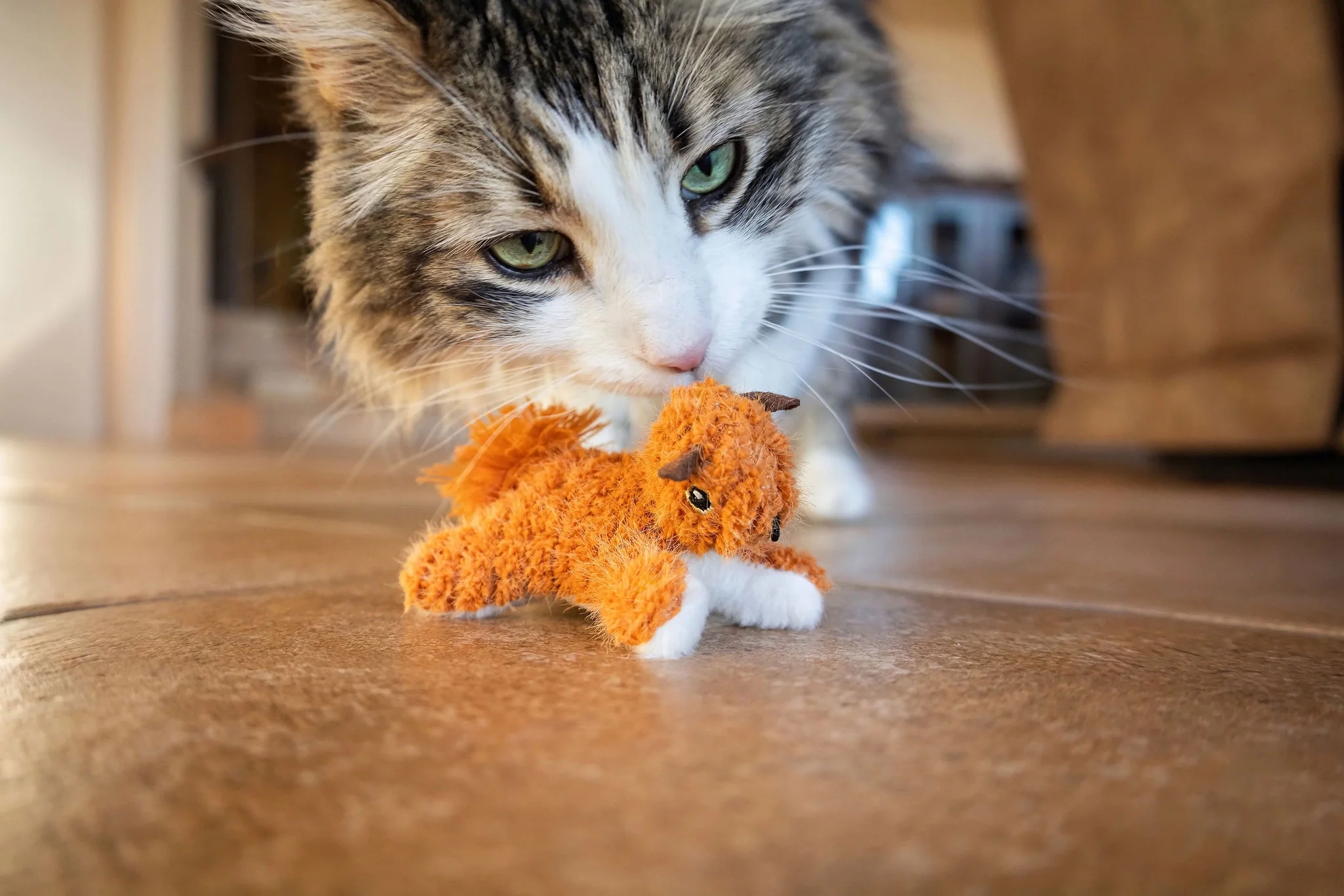 121307fdab1750270935214848a2cf47 1