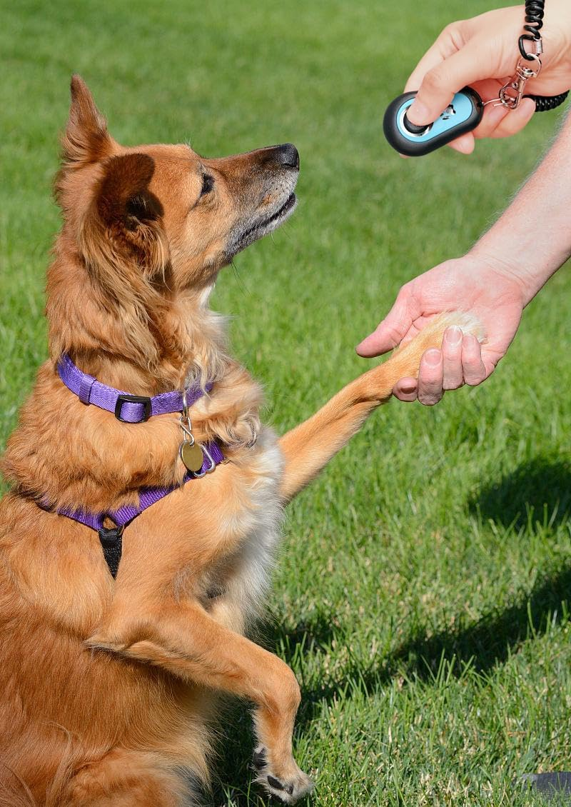 133a414cc257cdc53fc3cc106fc0ab1b-4.png 133a414cc257cdc53fc3cc106fc0ab1b 4