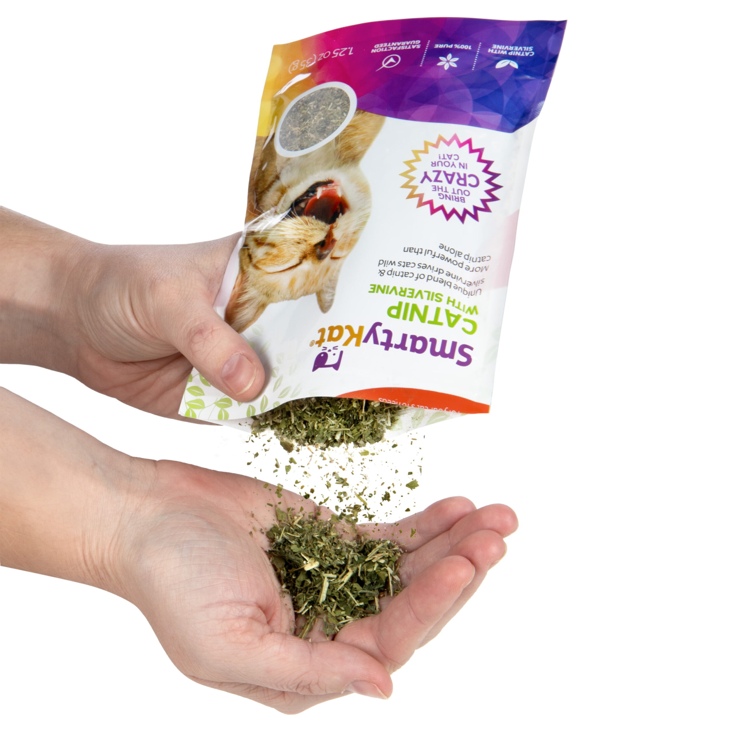 17d754c7 2fe1 43f8 a109 2fcd630442fb.f4847849d1d4f30fc0e697450345072e scaled