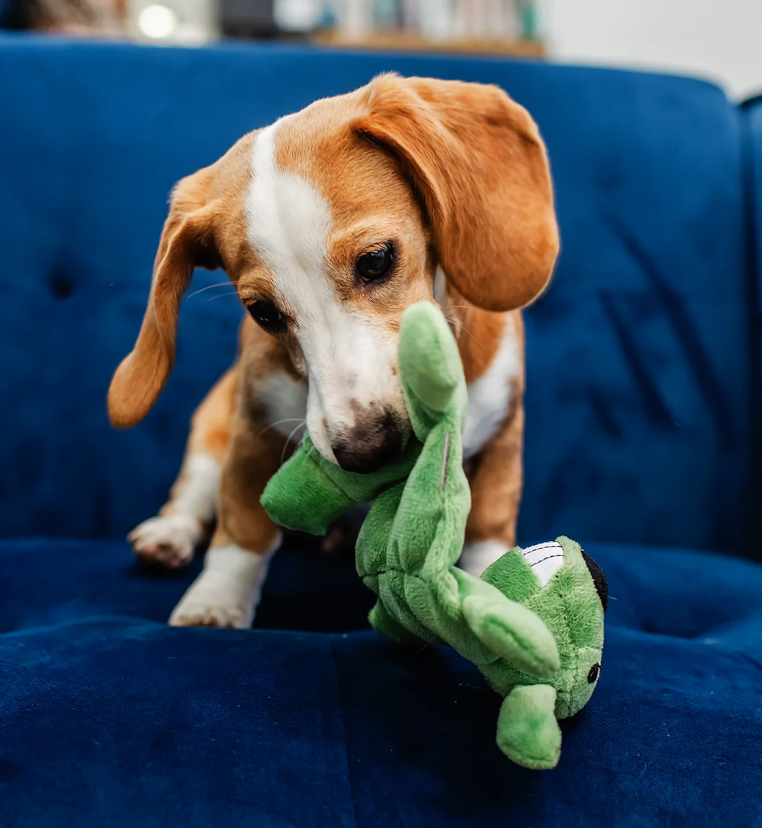 2120fbec7b9c581f9d04abd8434f6327 1