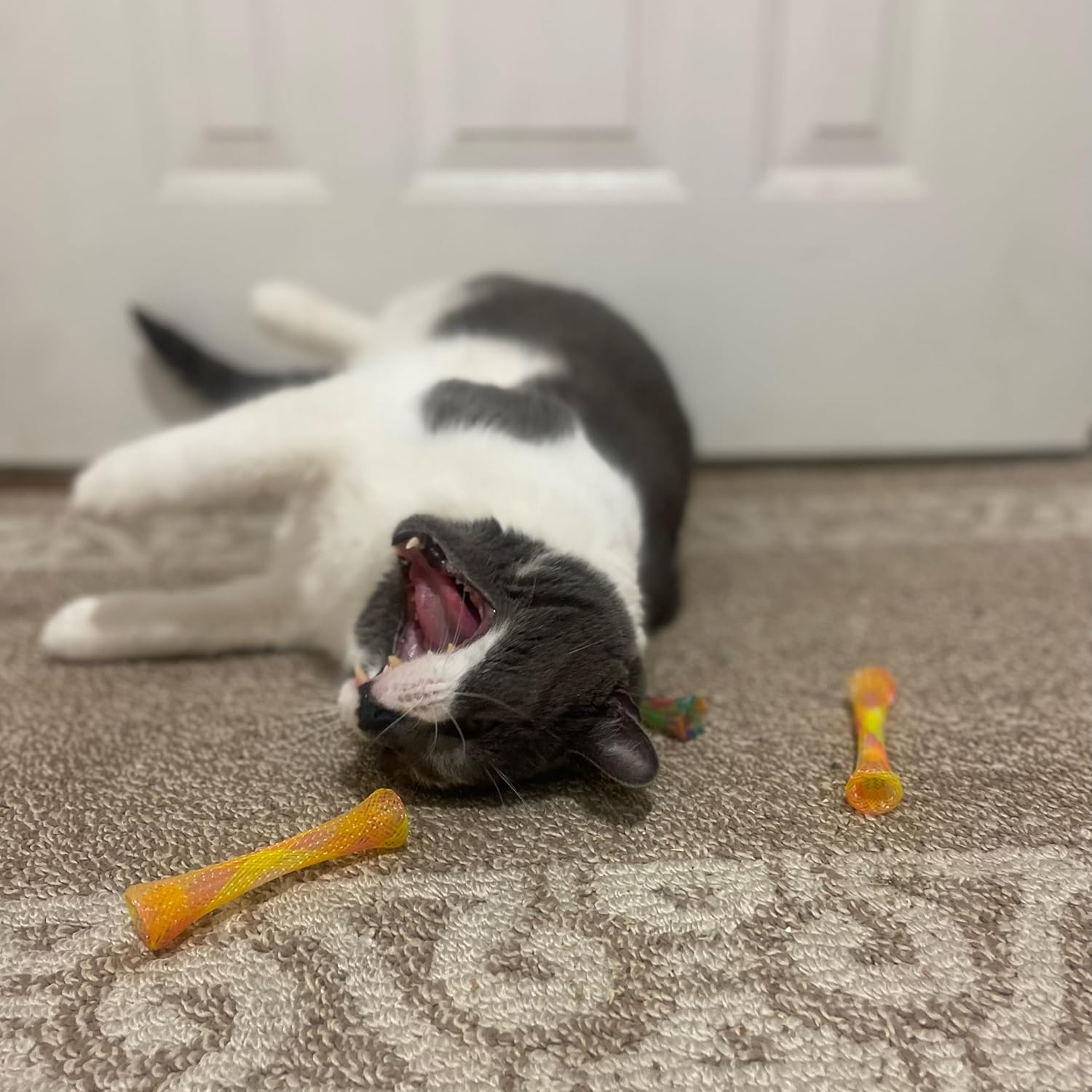 2a7c30c9153350156b407704f4e5b7be 2