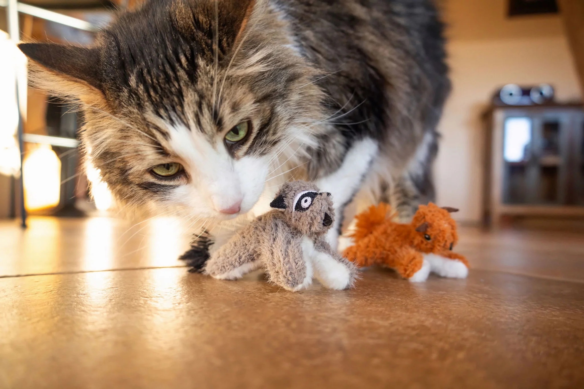 37477007575f21c9110c450ae040ff30