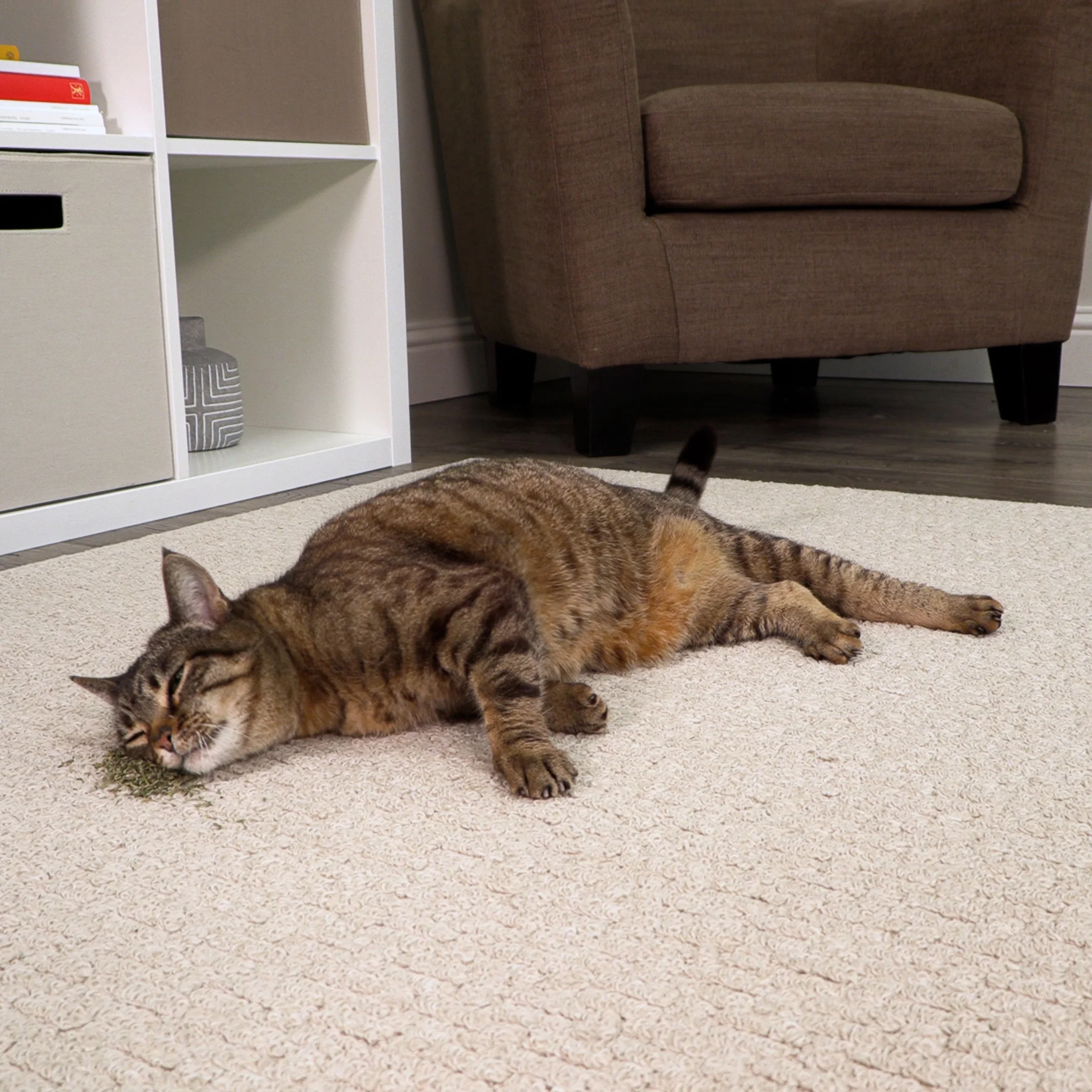 4fd957b7b9e2e045aeee41e64e284607 3