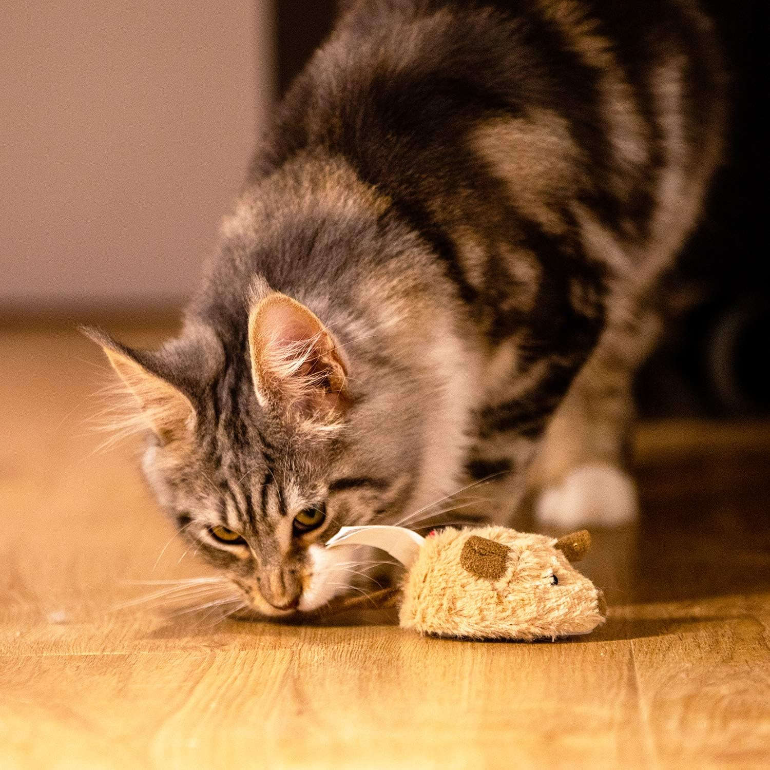 7b421c4cbc698ecf80dd3de37ca28eb2