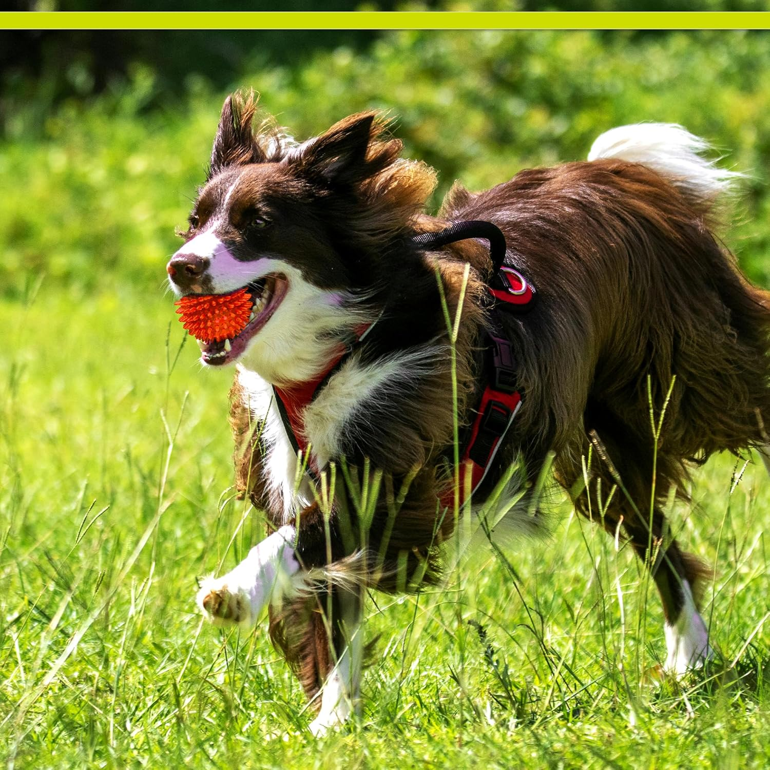 976aa2a0c9baee85ecb61b40300b73c0 3