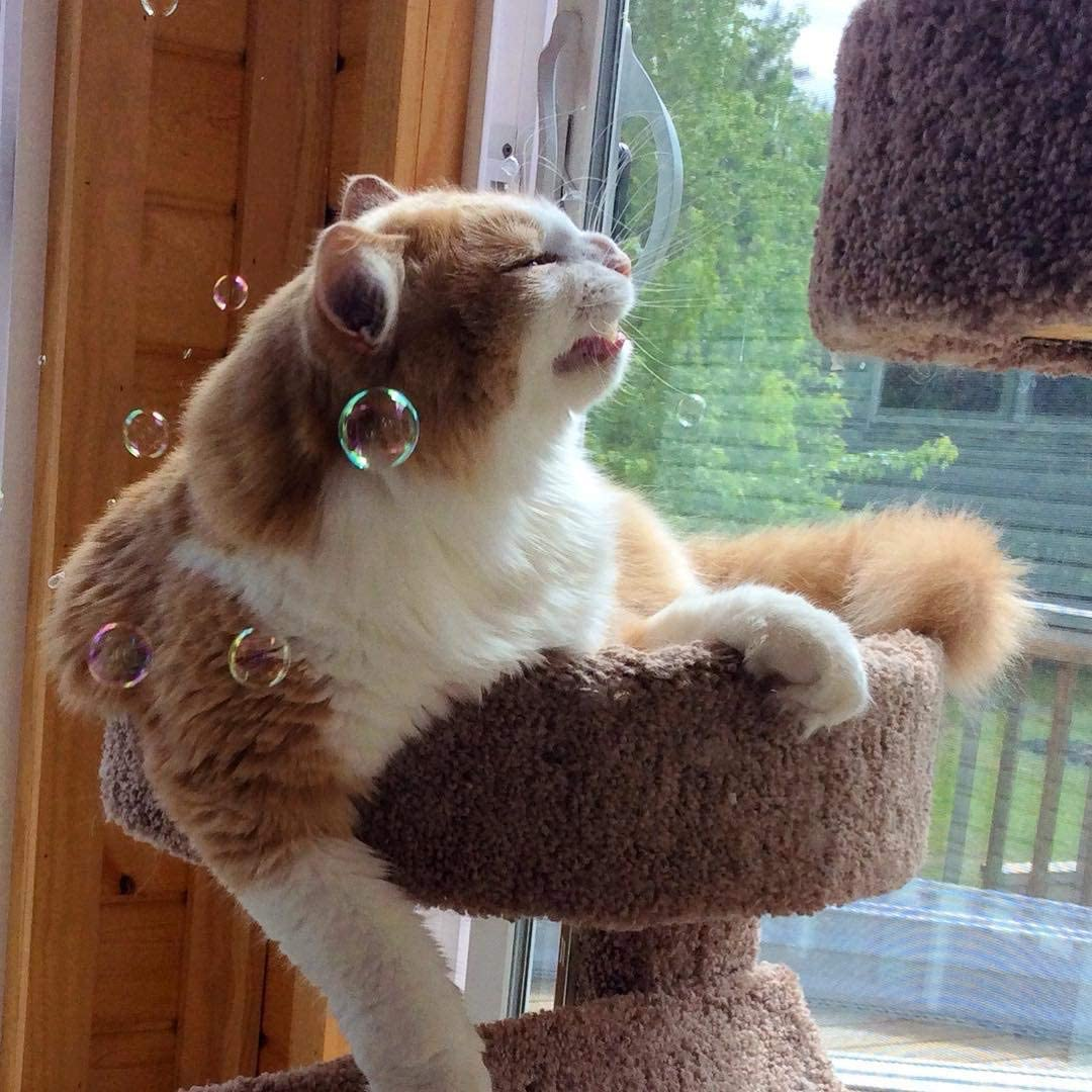 9fa85178729e4a1e6e323d7cd1558132