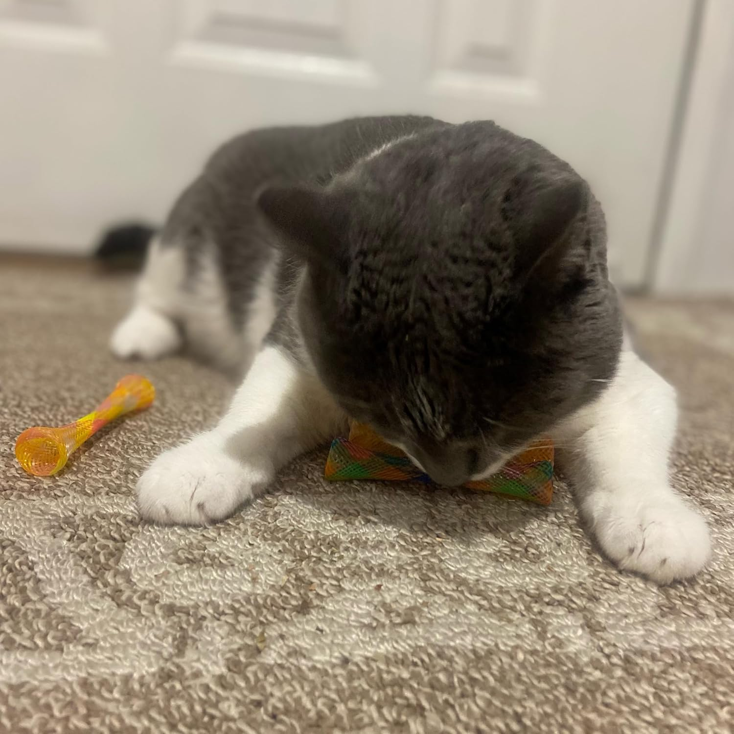 d69e4b1262b9efadf3c418c967708f83 1