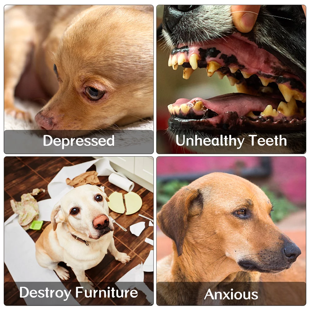 d6f648eb16d71ef2bc30ad7dfef35d58.png d6f648eb16d71ef2bc30ad7dfef35d58