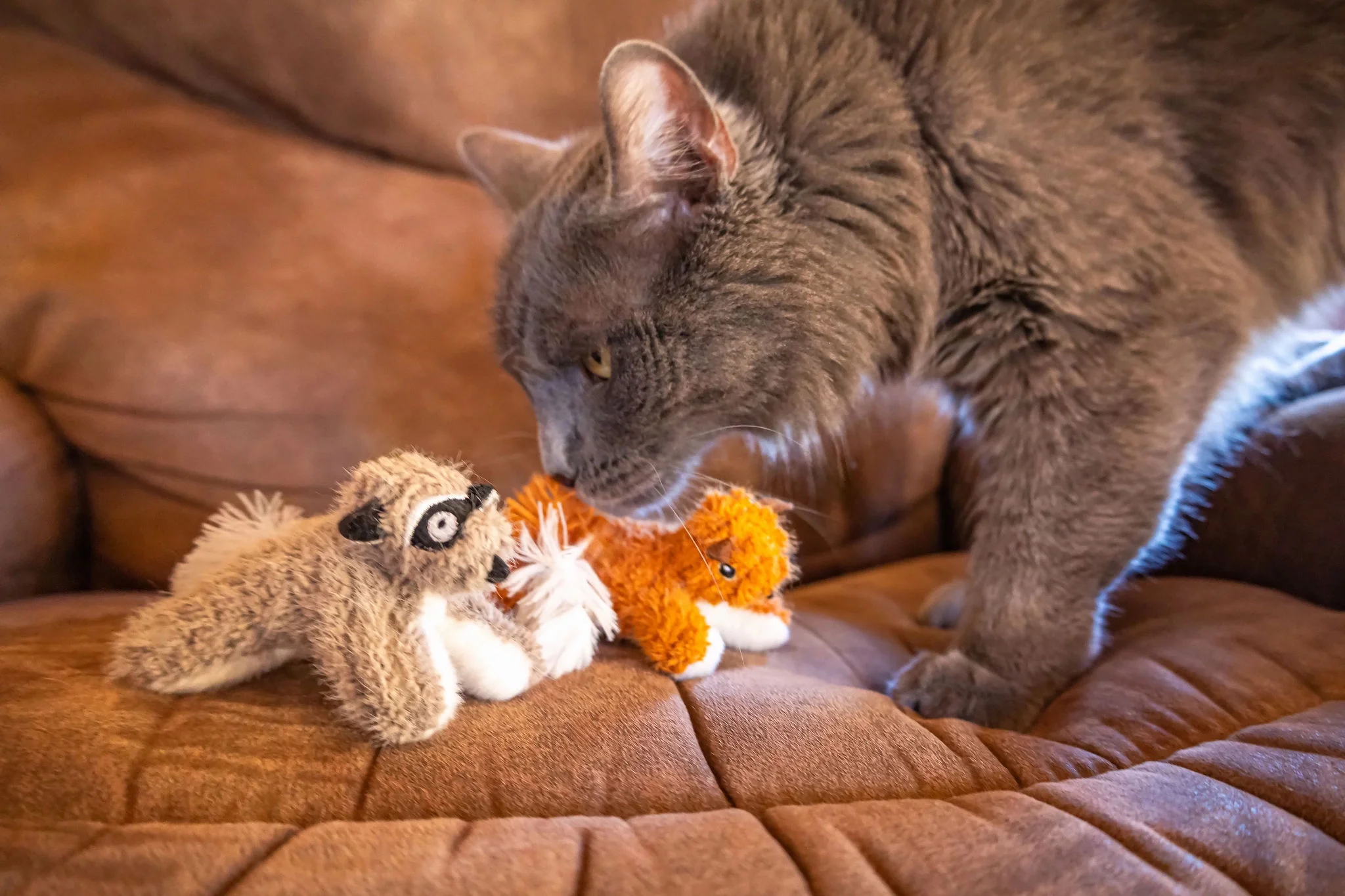 ee6e28edb7de952ff9b792e8f20120a3 1