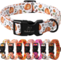 Nylon Dog Collar - Adjustable Lavender Soft Webbing Dog Collars for Small Medium Large Dogs Boy Girl Puppy Collar with Safety Metal Buckle S 15 151e41728411d2463d784f2f8986fe8c