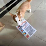 Puppy Newspaper Chew Toy to Clean Teeth & Stop Boredom 1pcs photo review