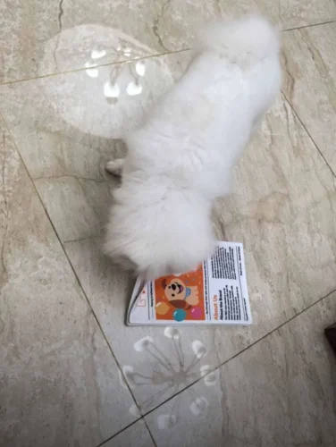 Puppy Newspaper Chew Toy to Clean Teeth & Stop Boredom 1pcs photo review
