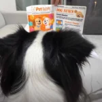 Puppy Newspaper Chew Toy to Clean Teeth & Stop Boredom 1pcs photo review