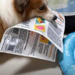 Puppy Newspaper Chew Toy to Clean Teeth & Stop Boredom 1pcs photo review