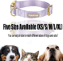 Nylon Dog Collar - Adjustable Lavender Soft Webbing Dog Collars for Small Medium Large Dogs Boy Girl Puppy Collar with Safety Metal Buckle S 9 2cab5cbc70646f0ee65a50f99cf3a054