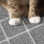 Premium Cat Litter Mat, Litter Box Mat with Non-Slip and Waterproof Backing, Litter Trapping Mat Soft on Kitty Paws and Easy to Clean, Cat Mat Traps Litter from Box 5 54fa9f0ddc94407196ebf9d6a0517b69 1