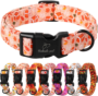 Nylon Dog Collar - Adjustable Lavender Soft Webbing Dog Collars for Small Medium Large Dogs Boy Girl Puppy Collar with Safety Metal Buckle S 14 58be7260da1028a215273046e6fc8d4e