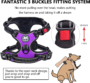 No Pull Dog Harness, No Choke Front Clip Dog Reflective Harness, Adjustable Soft Padded Pet Vest with Easy Control Handle for Small to Large Dogs(Purple,M) 3 6427558b8361a4af17995579905beba8 2