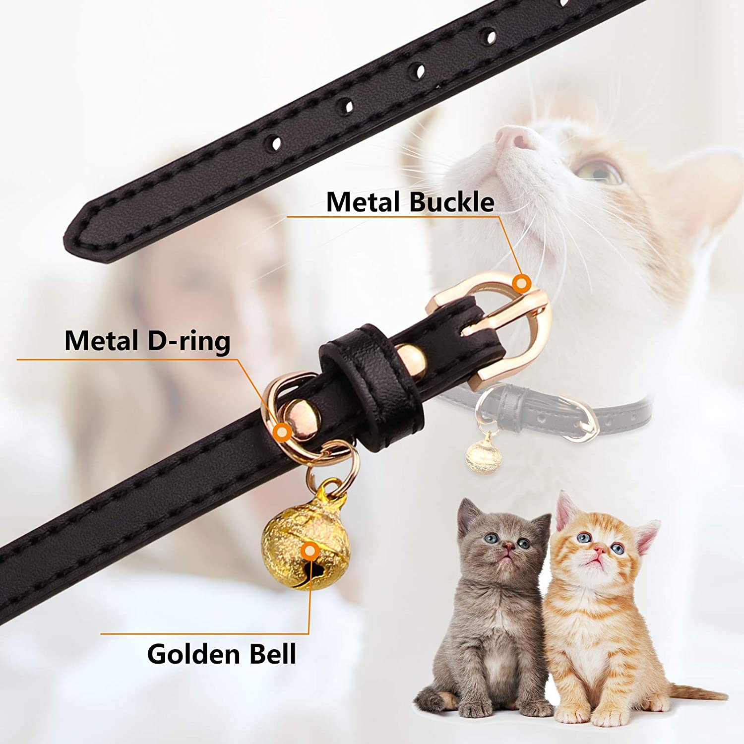 681a84fa4a313a48df454d2101c39c22 1