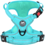 No Pull Dog Harness, No Choke Front Clip Dog Reflective Harness, Adjustable Soft Padded Pet Vest with Easy Control Handle for Small to Large Dogs(Purple,M) 15 7ce894381bb0cd291d7f3197d7569cff 1