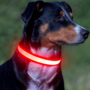 LED Dog Collar, Light up Dog Collar Adjustable USB Rechargeable Super Bright Safety Light Glowing Collars for Dogs(Small,Red) 8 b0a6cc57d5f469538970826abac718da 3