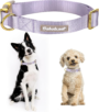 Nylon Dog Collar - Adjustable Lavender Soft Webbing Dog Collars for Small Medium Large Dogs Boy Girl Puppy Collar with Safety Metal Buckle S 3 b97841ce9d4f57f5b400a42b06f31e69